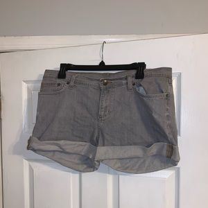 Patagonia Shorts